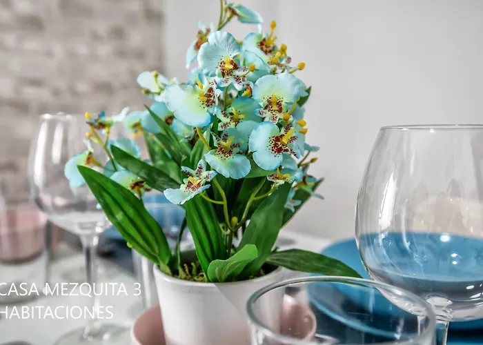 Casas Caballerizas Mezquita 1 Y 3 Hab