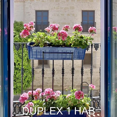Casas Caballerizas Mezquita 1 Y 3 Hab 아파트 *