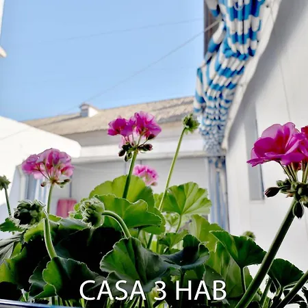 Daire Casas Caballerizas Mezquita 1 Y 3 Hab *